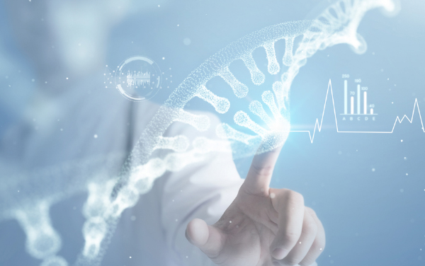 ����Ч��